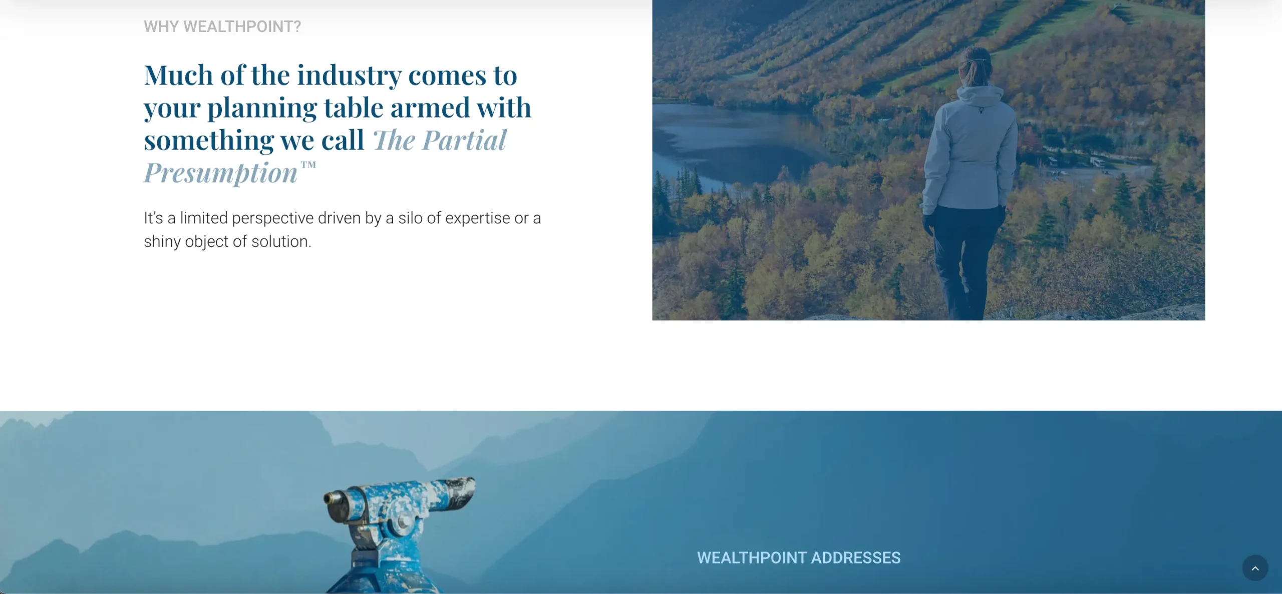 Project screenshot 2